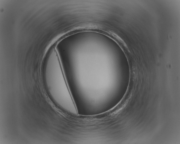 X0000076450981200610061041