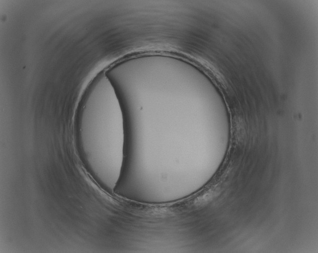 X0000076450982200610061041