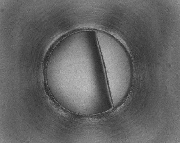 X0000076450984200610061041