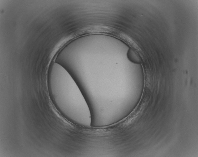 X0000076450986200610061041