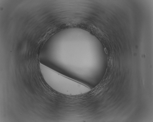 X0000076451012200610061040