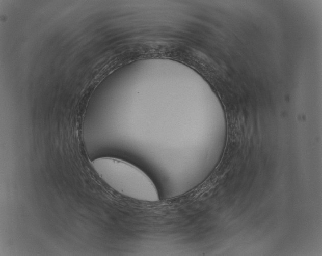 X0000076451013200610061040