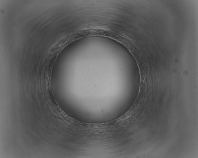 X0000076451014200610061040