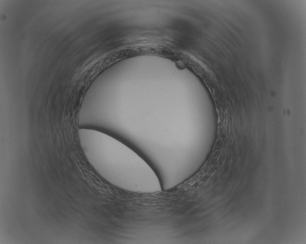 X0000076451015200610061040