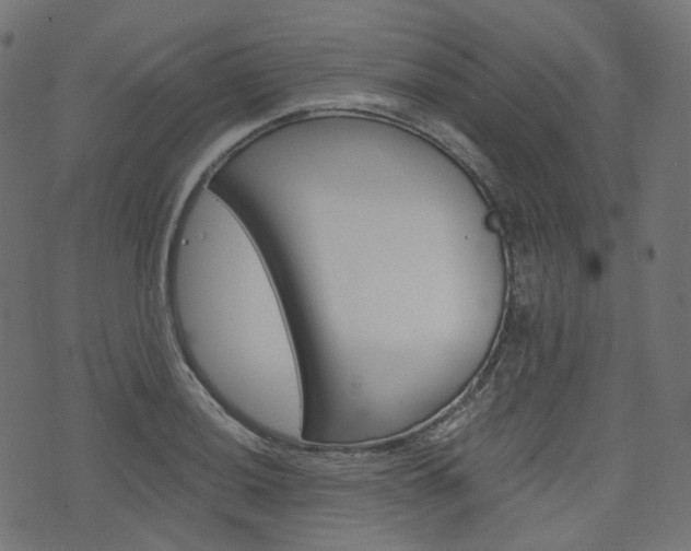 X0000076451036200610061040