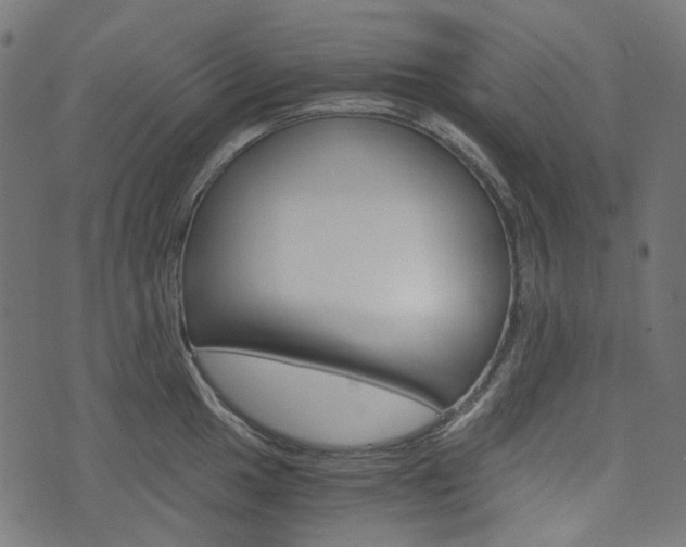 X0000076451049200610061040