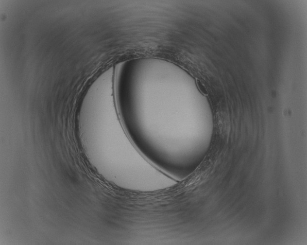 X0000076451057200610061040