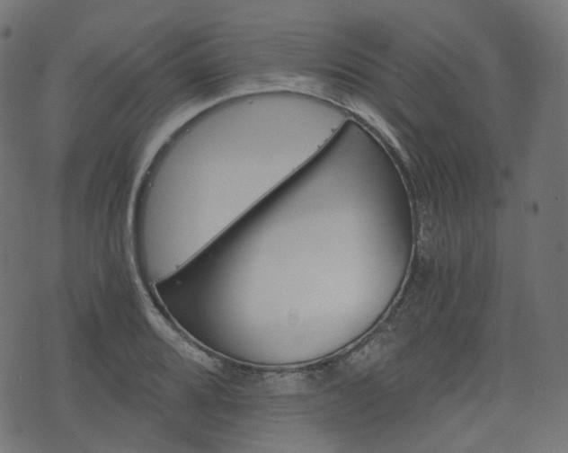 X0000076451080200610061039