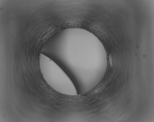 X0000076451107200610061038