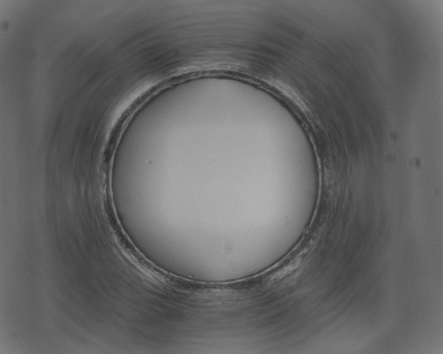 X0000076451119200610061038