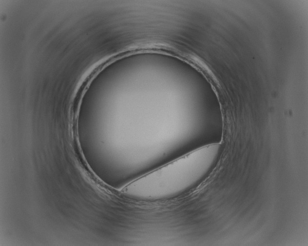 X0000076451124200610061038