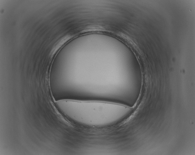 X0000076451129200610061039