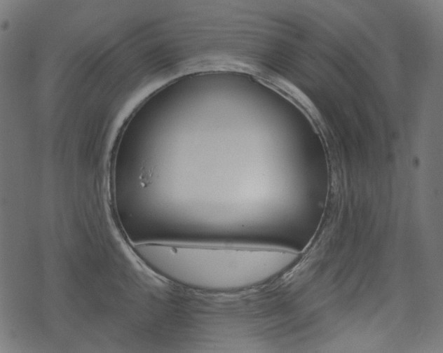 X0000076451144200610061039