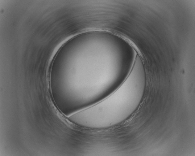 X0000076451148200610061039