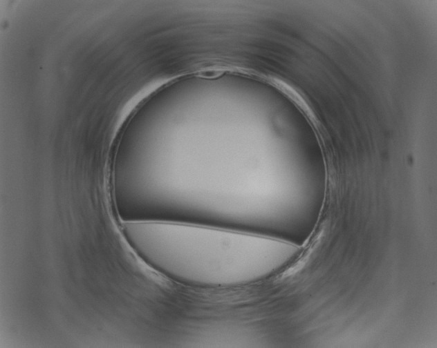 X0000076451149200610061039