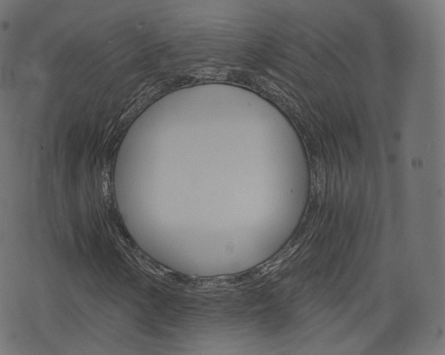 X0000076451154200610061038