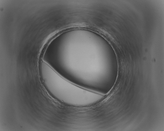X0000076451168200610061038