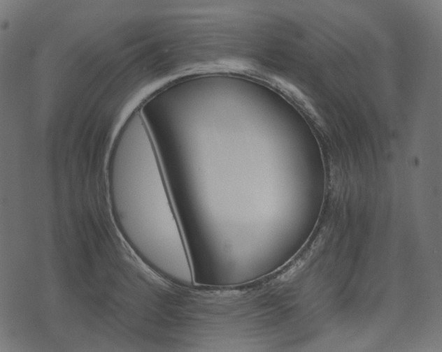 X0000076451184200610061038