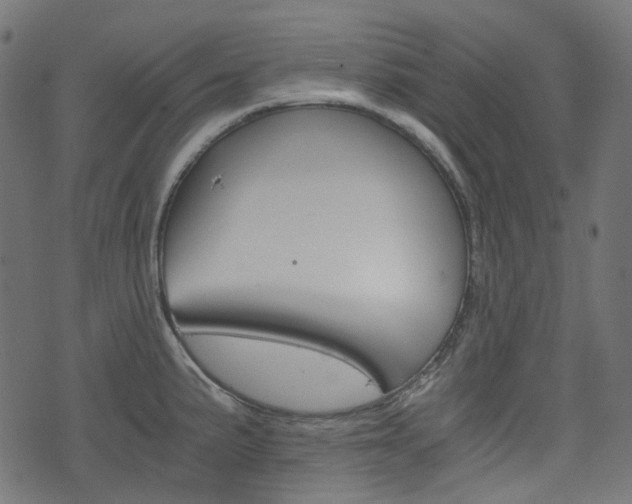 X0000076451191200610061037