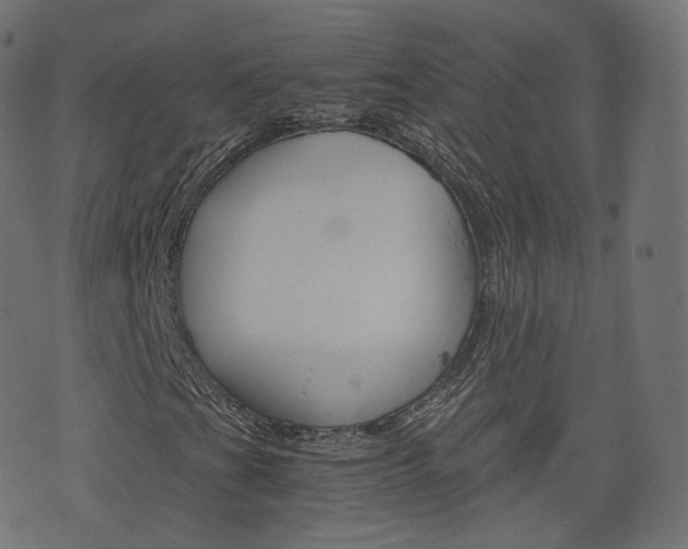 X0000076451201200610061037