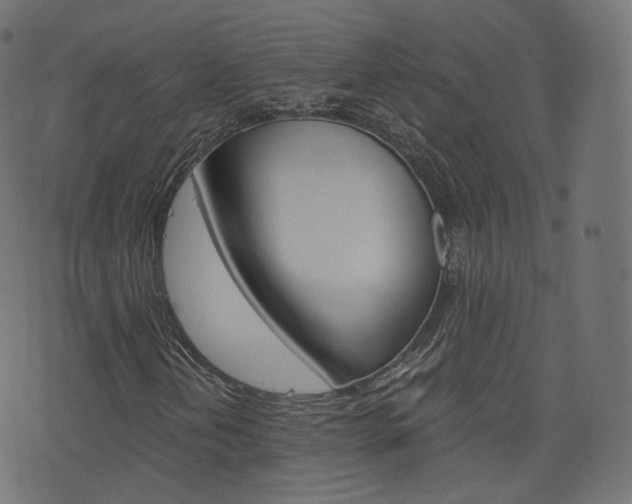 X0000076451202200610061037