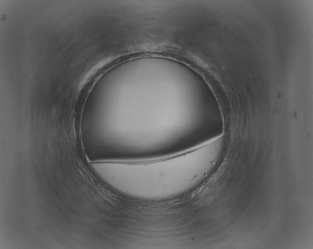 X0000076451214200610061037