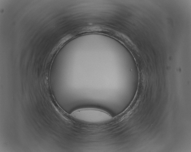 X0000076451225200610061037