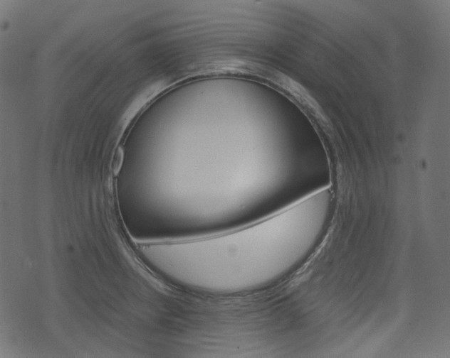 X0000076451234200610061037