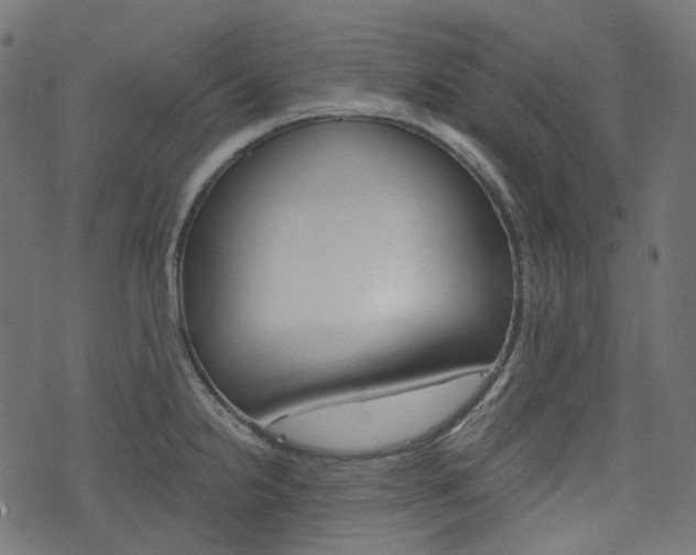 X0000076451238200610061037