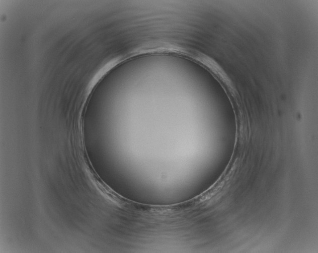 X0000076451242200610061037
