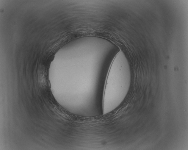 X0000076451250200610061037