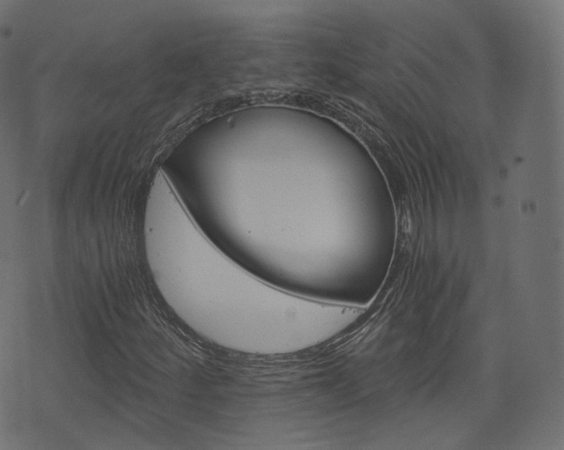 X0000076451252200610061037