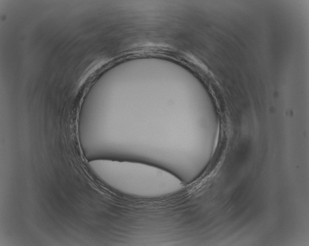 X0000076451259200610061036