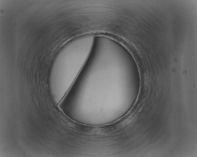 X0000076451265200610061036