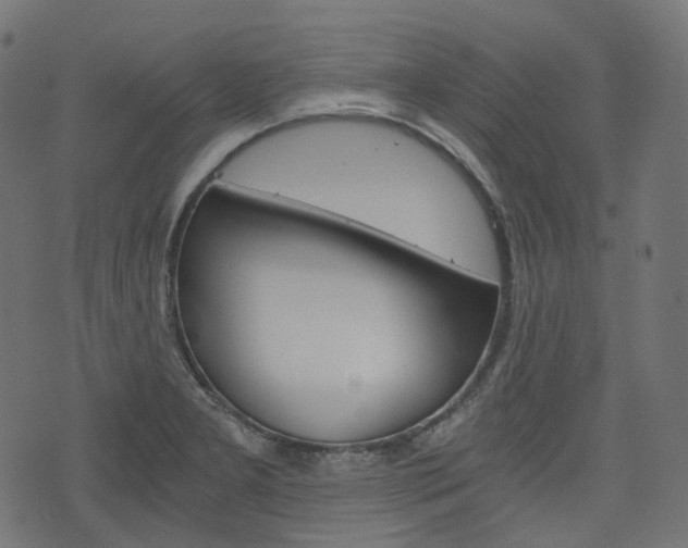 X0000076451277200610061036