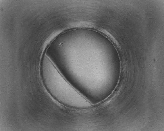 X0000076451285200610061036