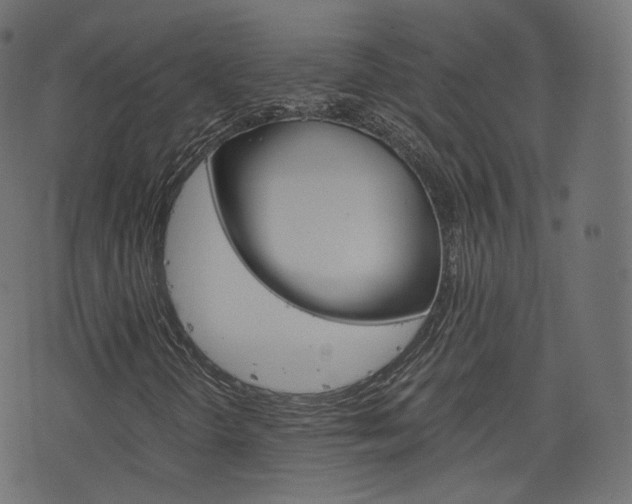 X0000076451298200610061035
