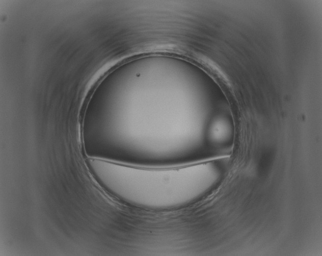 X0000076451324200610061035