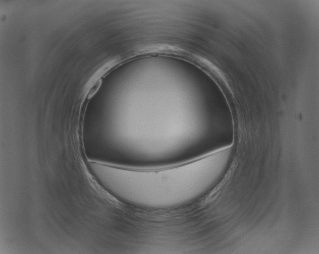 X0000076451330200610061036