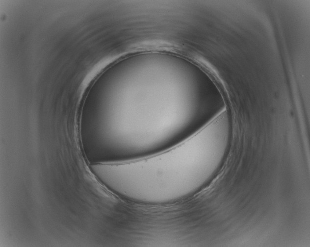 X0000076451336200610061036