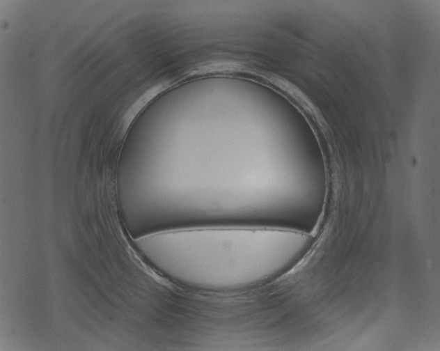 X0000076451337200610061036
