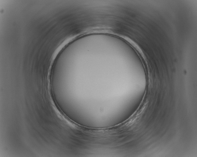 X0000076451341200610061036