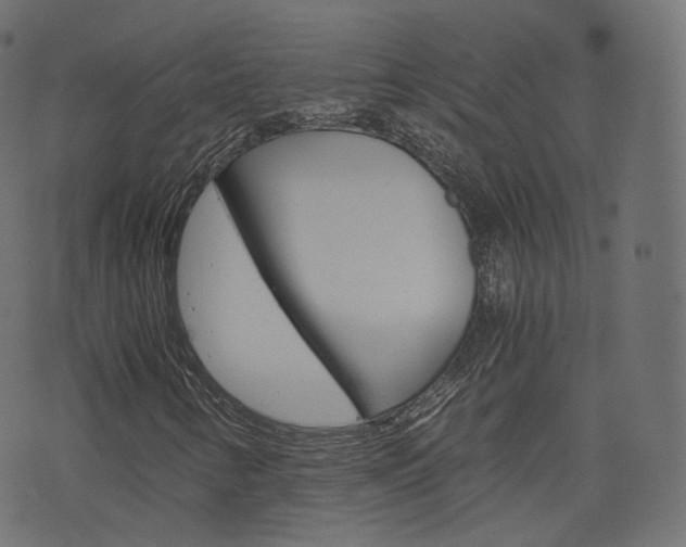 X0000076451346200610061035