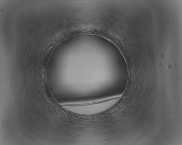 X0000076451349200610061035