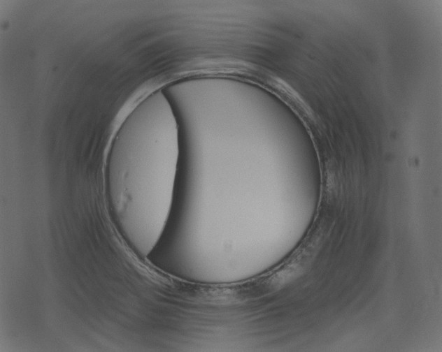 X0000076451370200610061035