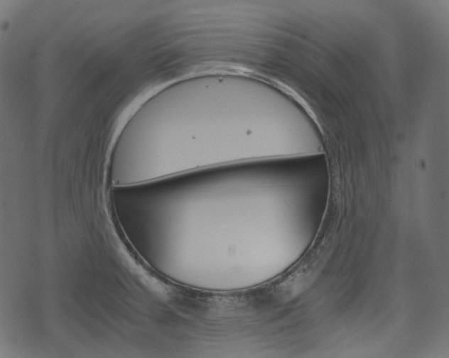 X0000076451379200610061034