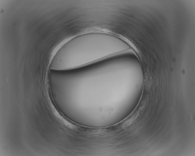 X0000076451387200610061034