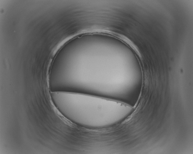 X0000076451388200610061034