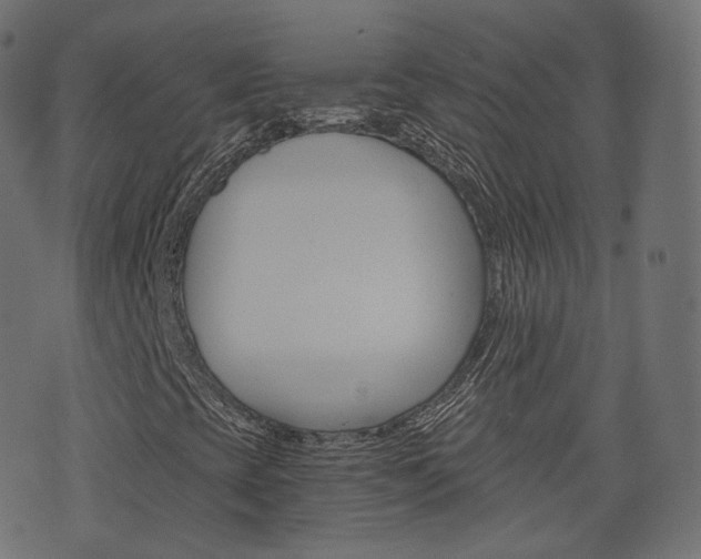 X0000076451393200610061033