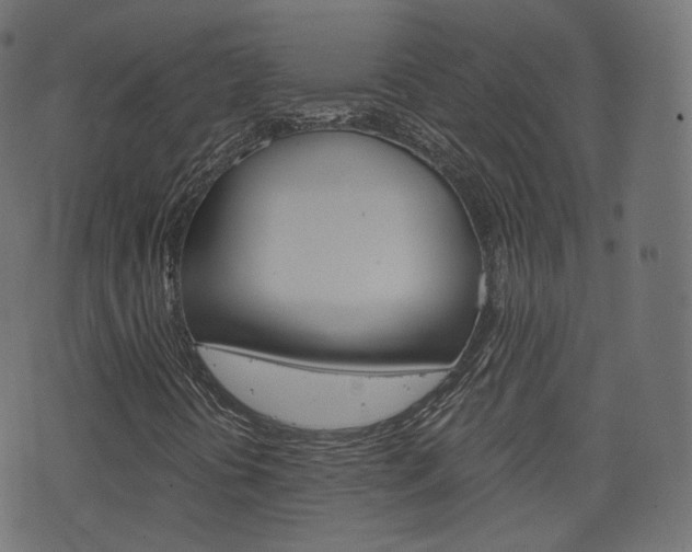 X0000076451394200610061033